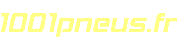 Logo 1001pneus